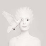 Animeyed, Dove, Limited Edition Print