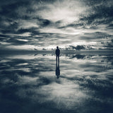 You're Not Alone, Limited Edition Print