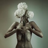 Armour, Limited Edition Print