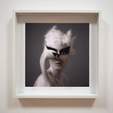 Swan 2 - kiállítási darab