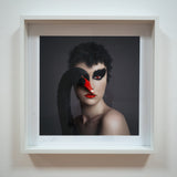 Black Swan - kiállítási darab