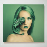 Chameleon - kiállítási darab