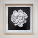 Ethereal - kiállítási darab