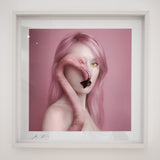 Flamingo 2 - kiállítási darab