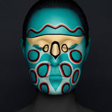 Sphaerocoris annulus, Limited Edition Print