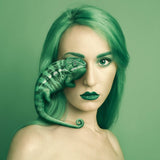 Animeyed, Chameleon, Limited Edition Print