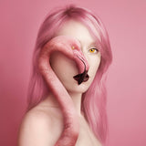 Animeyed, Flamingo, Limitált Kiadás, Mini Nyomat