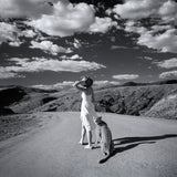 Come With Me, Dreams From Namibia Poster