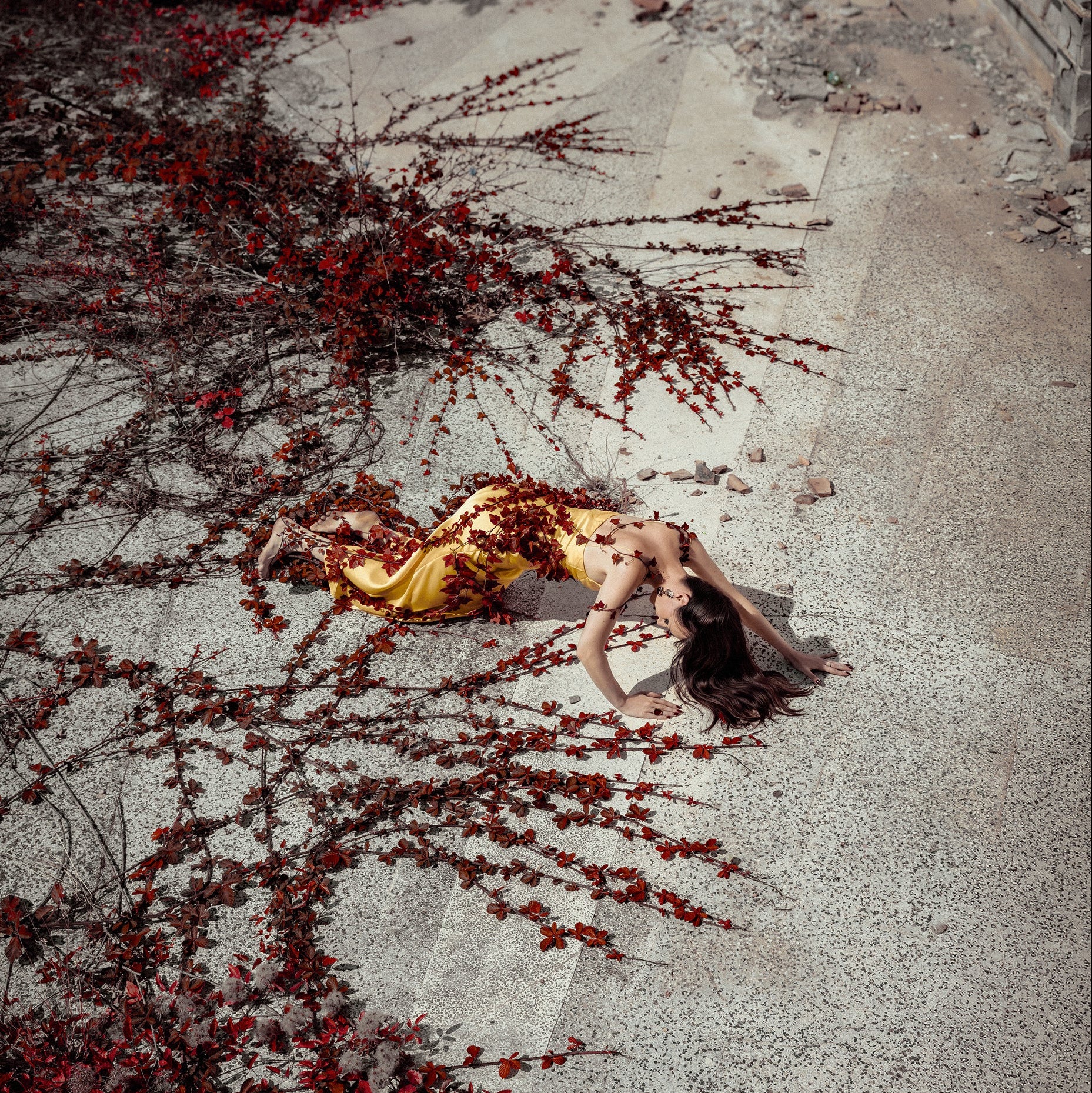 Person lying on the ground with red leaves around, possibly in a desolate area.