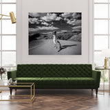 Verde, limitált kiadás