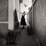Woman in a black dress standing between two leopards in a narrow alleyway with a bird flying above.