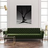 Verde, limitált kiadás