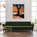 Verde, limitált kiadás