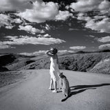 Verde, limitált kiadás