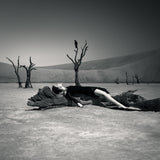 Illusion of Darkness, Limited Edition Print