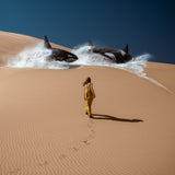 Verde, limitált kiadás