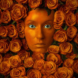 B Roses, Limited Edition Print