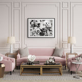 Dalmata, limitált kiadás