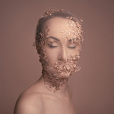 Dentelle no. 8, Limited Edition Print