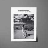 Come With Me, Dreams From Namibia Poster
