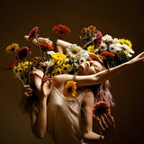 In Bloom Limited Edition Print