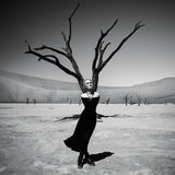 Tree of Life, Dreams From Namibia Poster