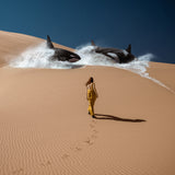 The Whale Watcher, Dreams From Namibia Poster