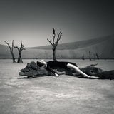 Illusion of The Darkness, Dreams From Namibia Poster